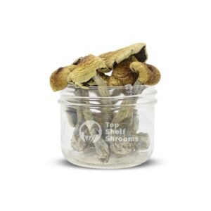 B+ Mushrooms