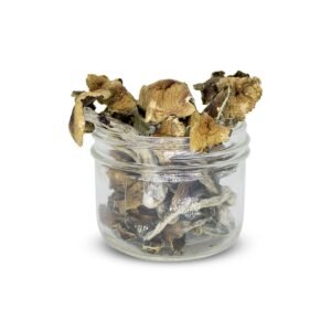 Brazilian Mushrooms