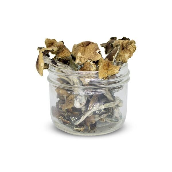 Brazilian Mushrooms