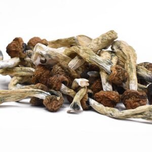 Creeper Magic Mushrooms