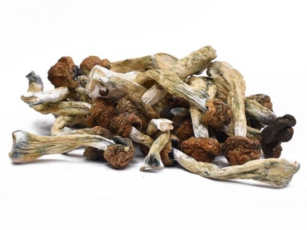 Creeper Magic Mushrooms
