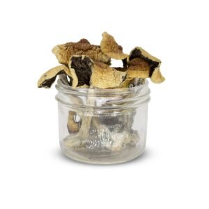 Buy Golden Teacher Mushrooms