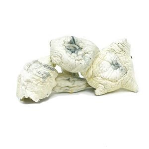 Great White Mushrooms