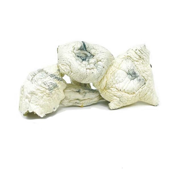 Great White Mushrooms