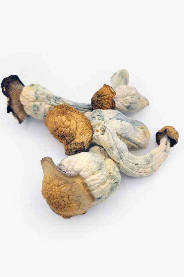 Melmac Magic Mushrooms