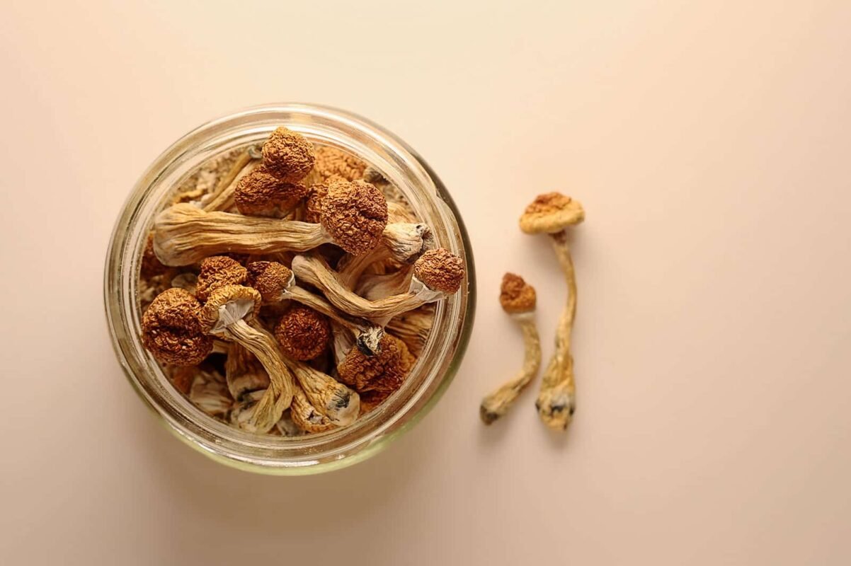 buy penis envy mushrooms