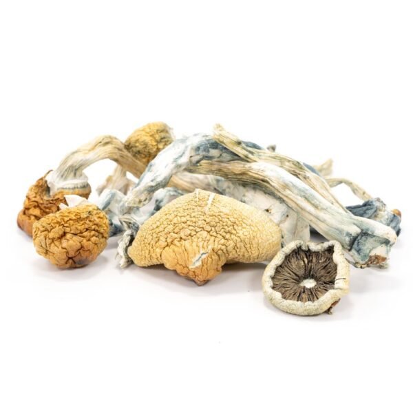 Thrasher Mushrooms