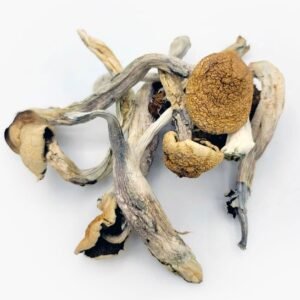 Trinity Magic Mushrooms
